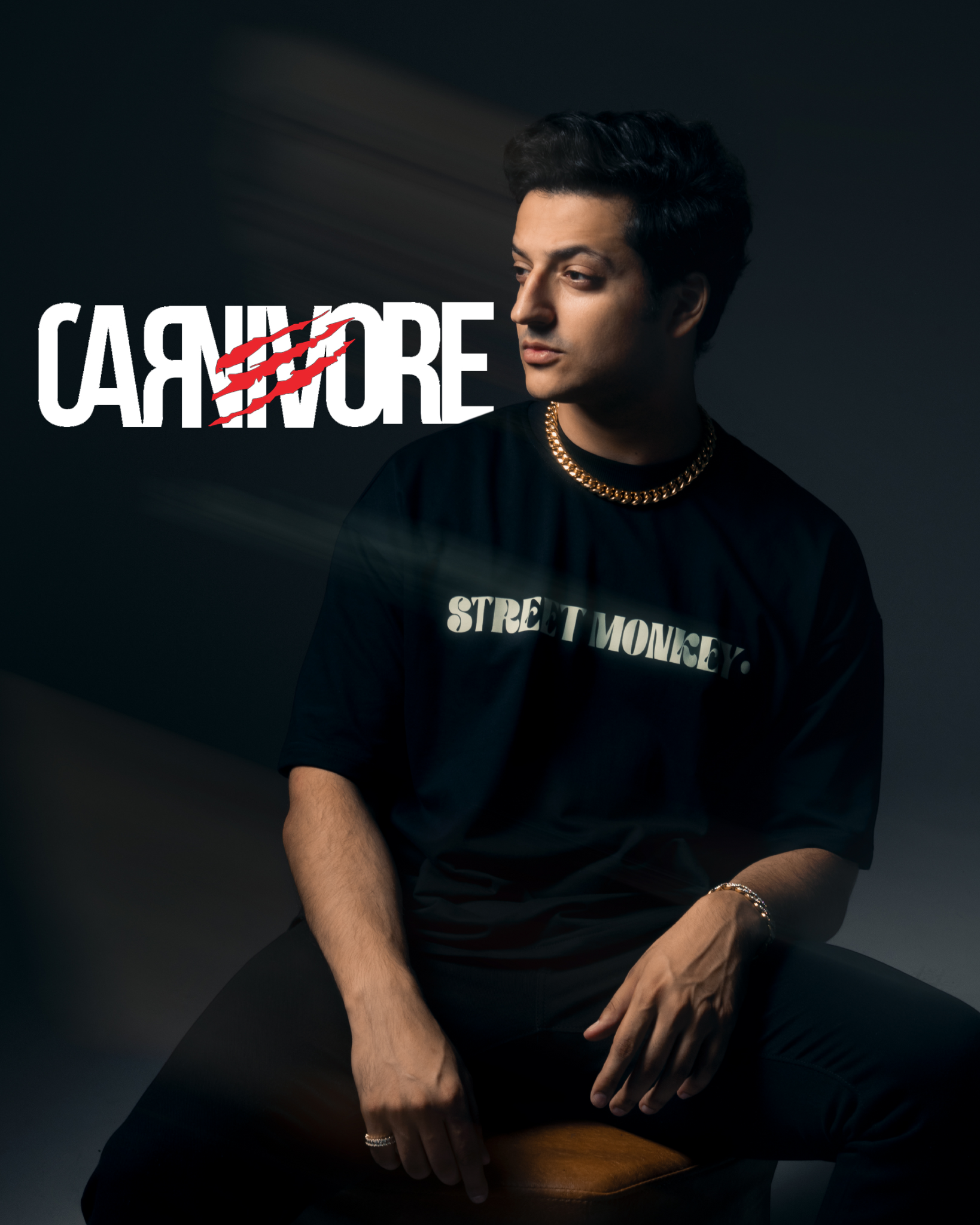 DJ Carnivore